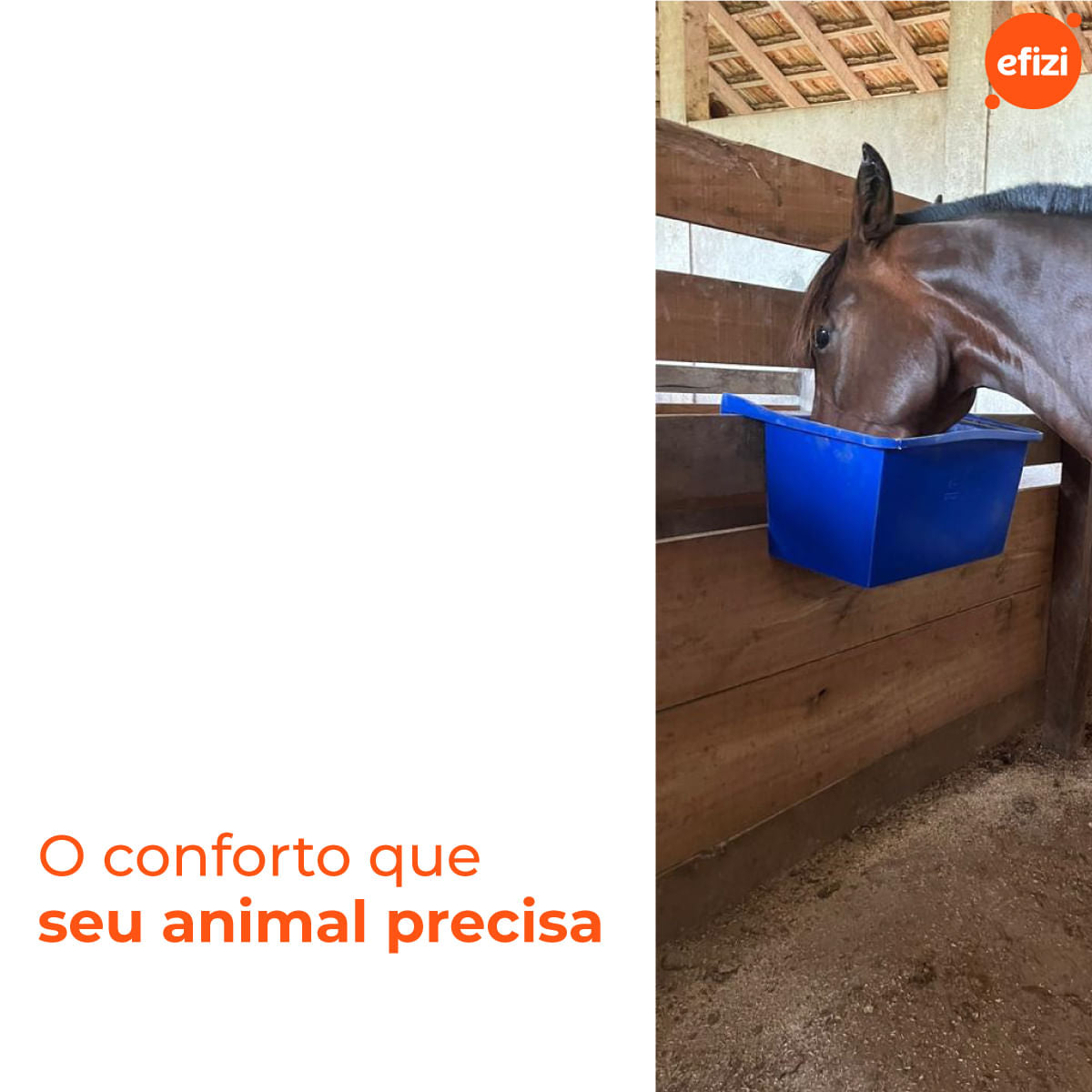 Bebedouro para Animal 10L Azul Gplas