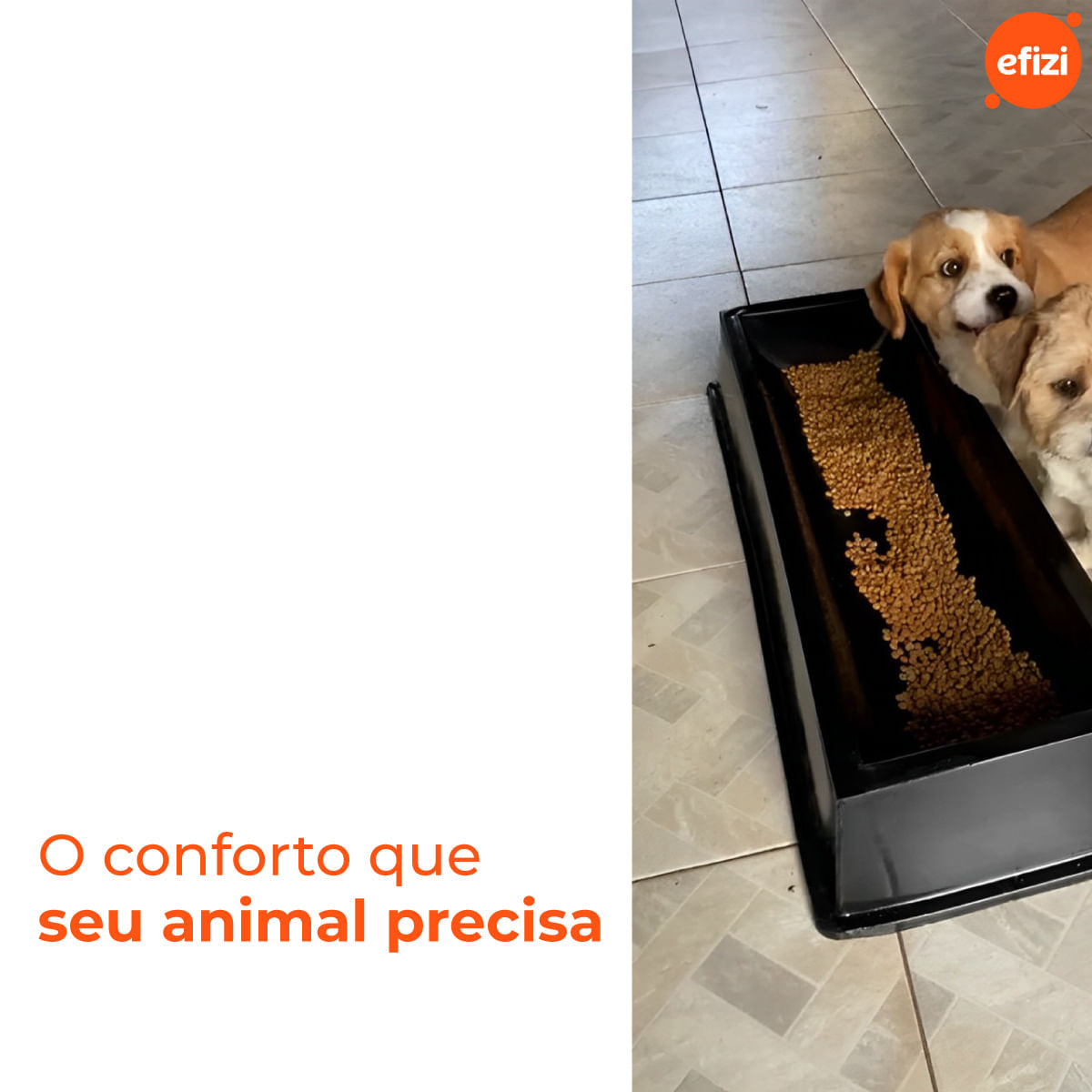 Comedouro para Animal 25L Preto Gplas