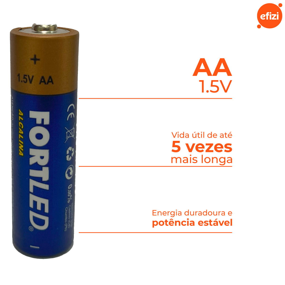 Pilha Alcalina AA 12 unidades Fortled