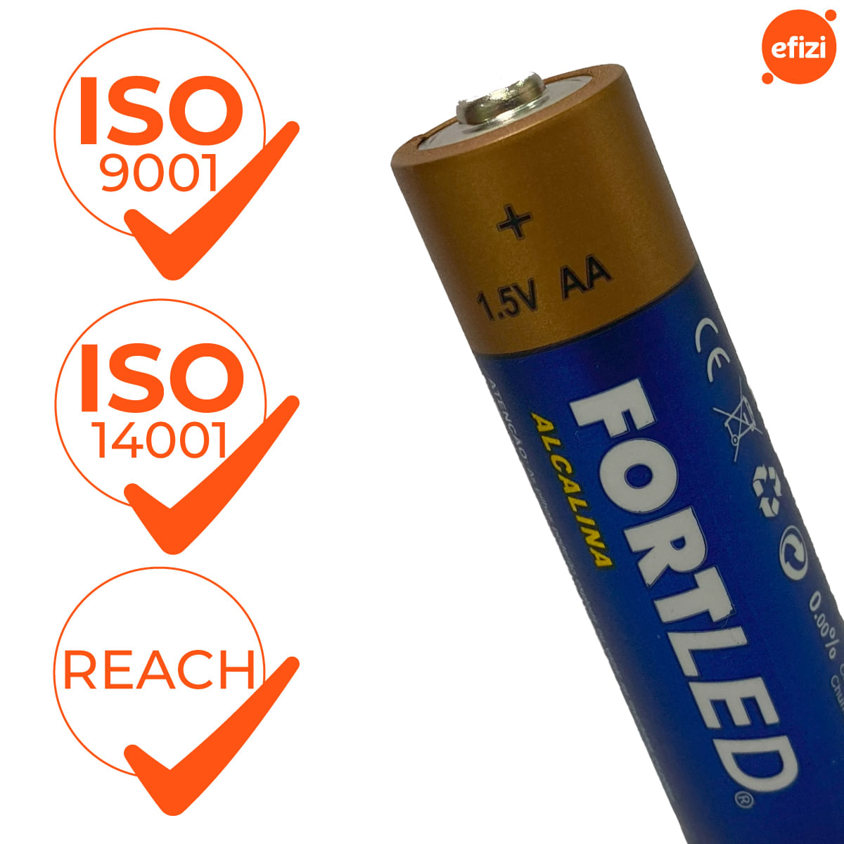 Pilha Alcalina AA 24 unidades Fortled