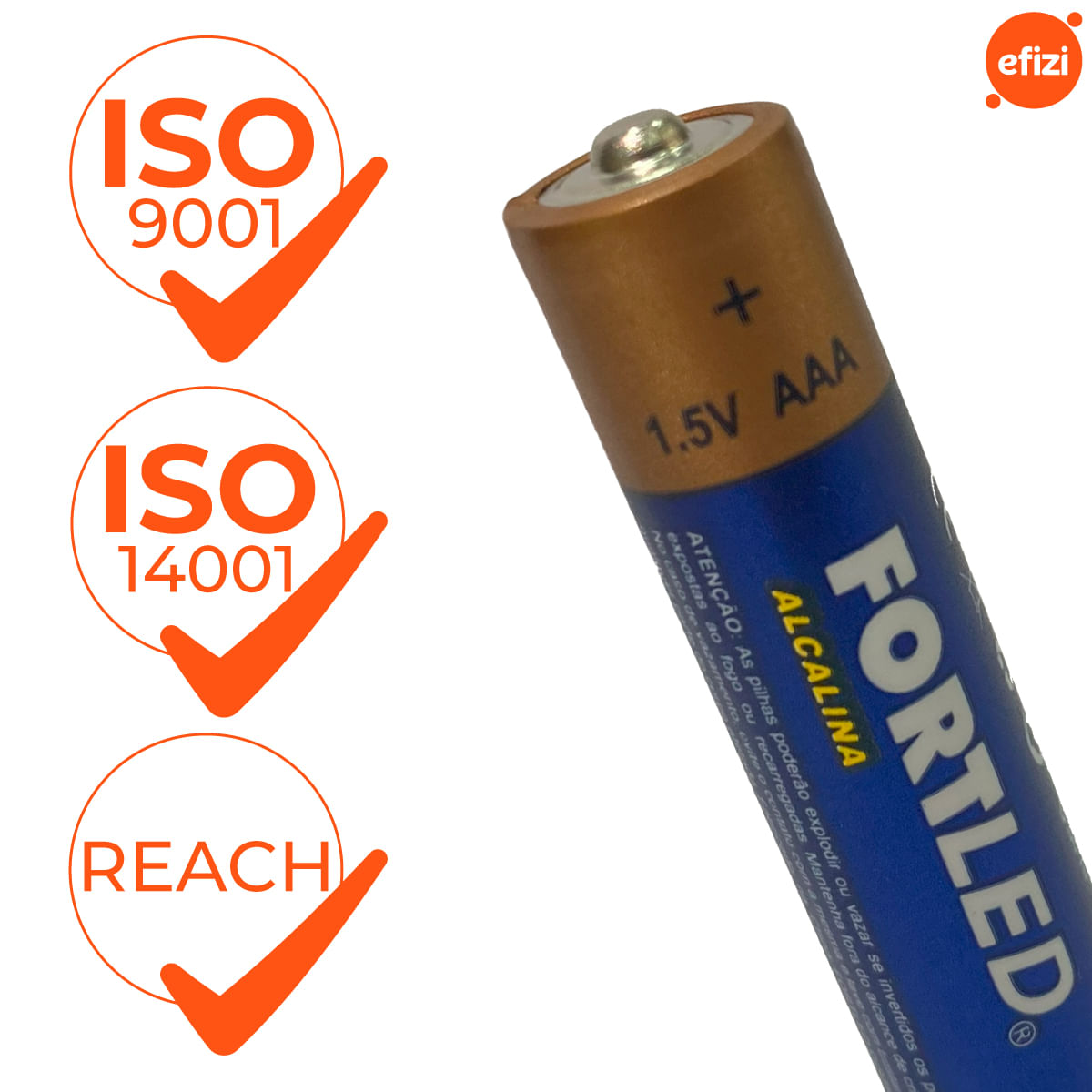 Pilha Alcalina AAA 48 unidades Fortled