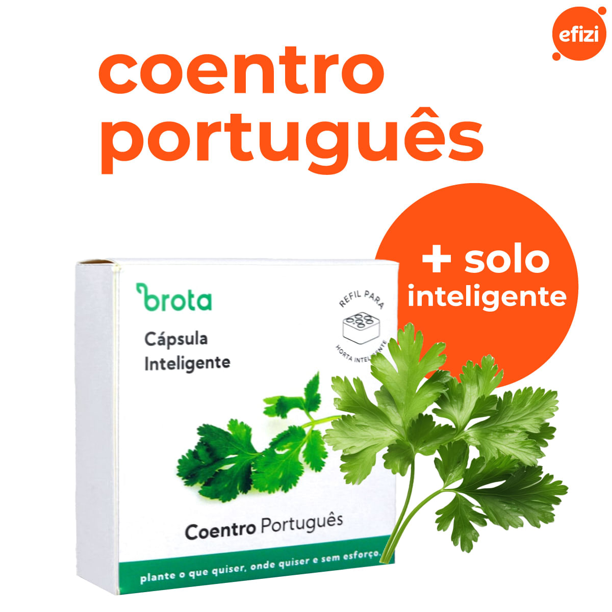 Capsula Coentro para Horta Autoirrigavel Brota