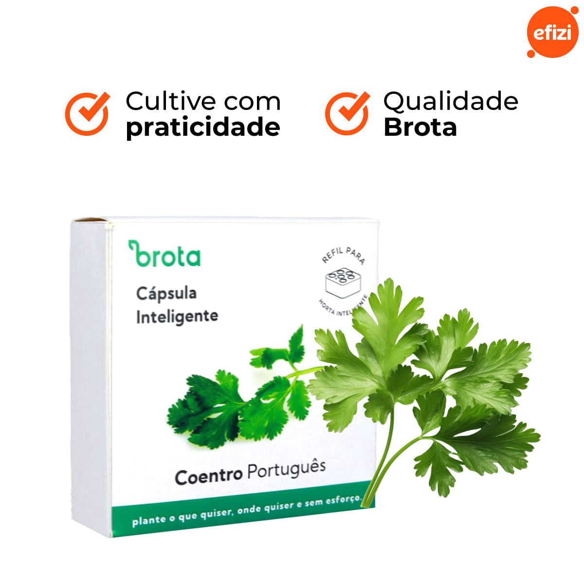 Capsula Coentro para Horta Autoirrigavel Brota
