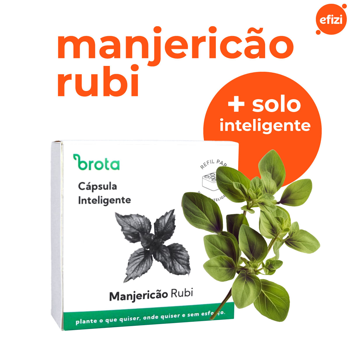 Capsula Manjericão Rubi para Horta Autoirrigavel Brota