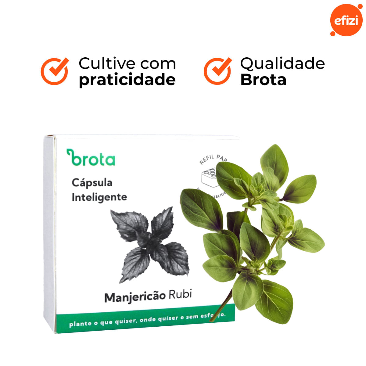 Capsula Manjericão Rubi para Horta Autoirrigavel Brota