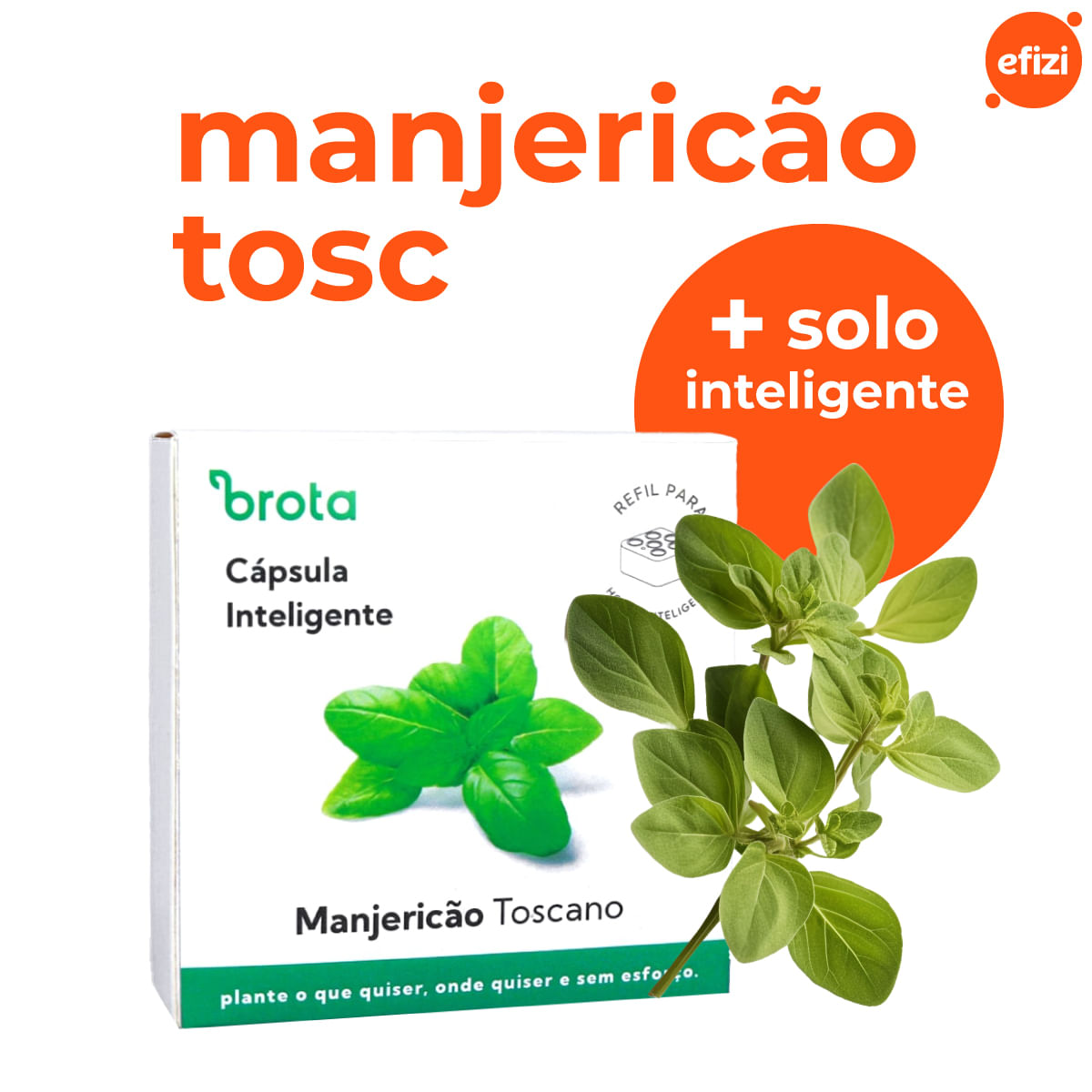 Capsula Manjericao Tosc para Horta Autoirrigavel Brota