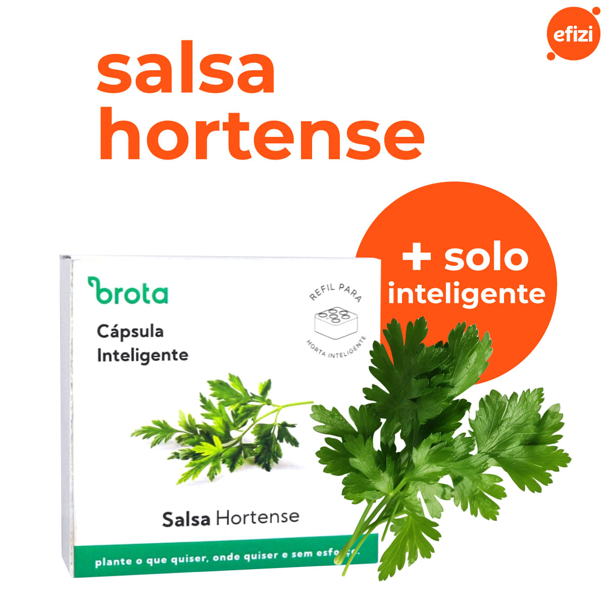 Capsula Salsa para Horta Autoirrigavel Brota