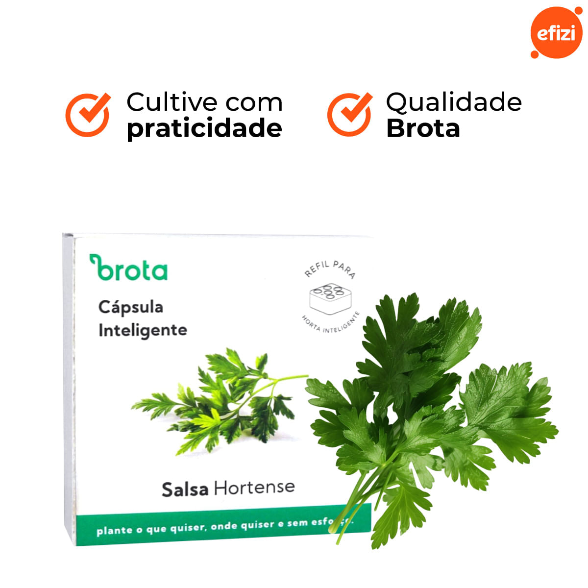 Capsula Salsa para Horta Autoirrigavel Brota