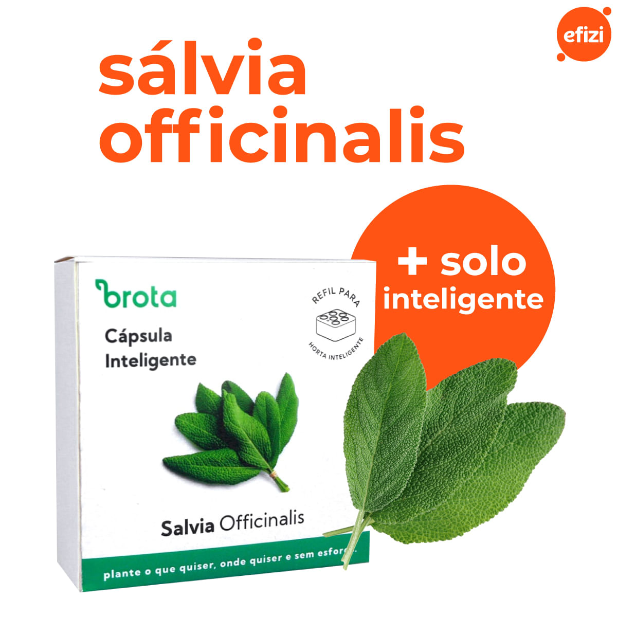 Capsula Sálvia para Horta Autoirrigavel Brota