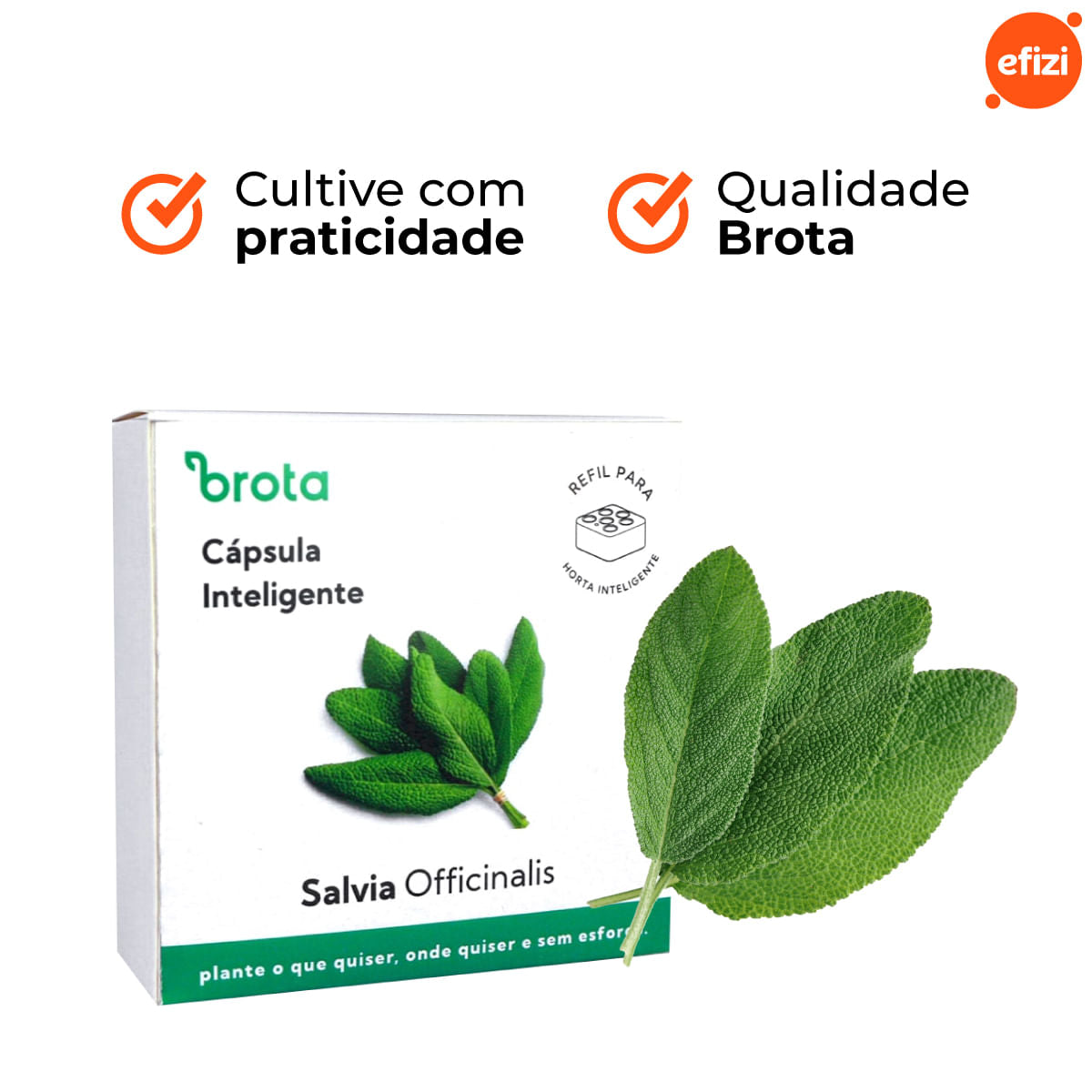 Capsula Sálvia para Horta Autoirrigavel Brota
