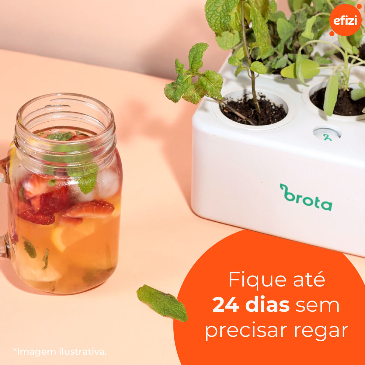 Vaso Horta Autoirrigavel Inteligente Branco Brota