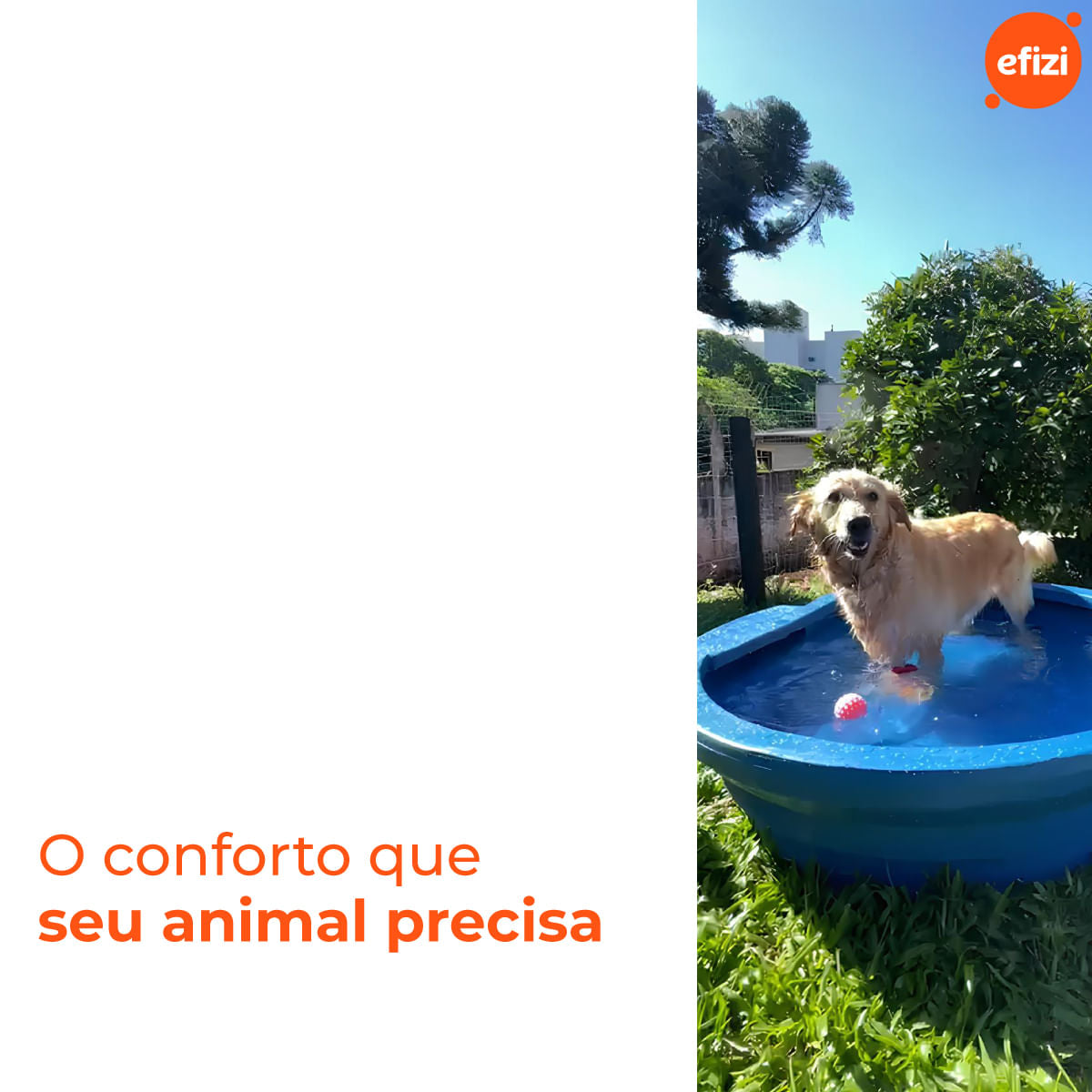 Bebedouro para Animal 250L Azul Gplas