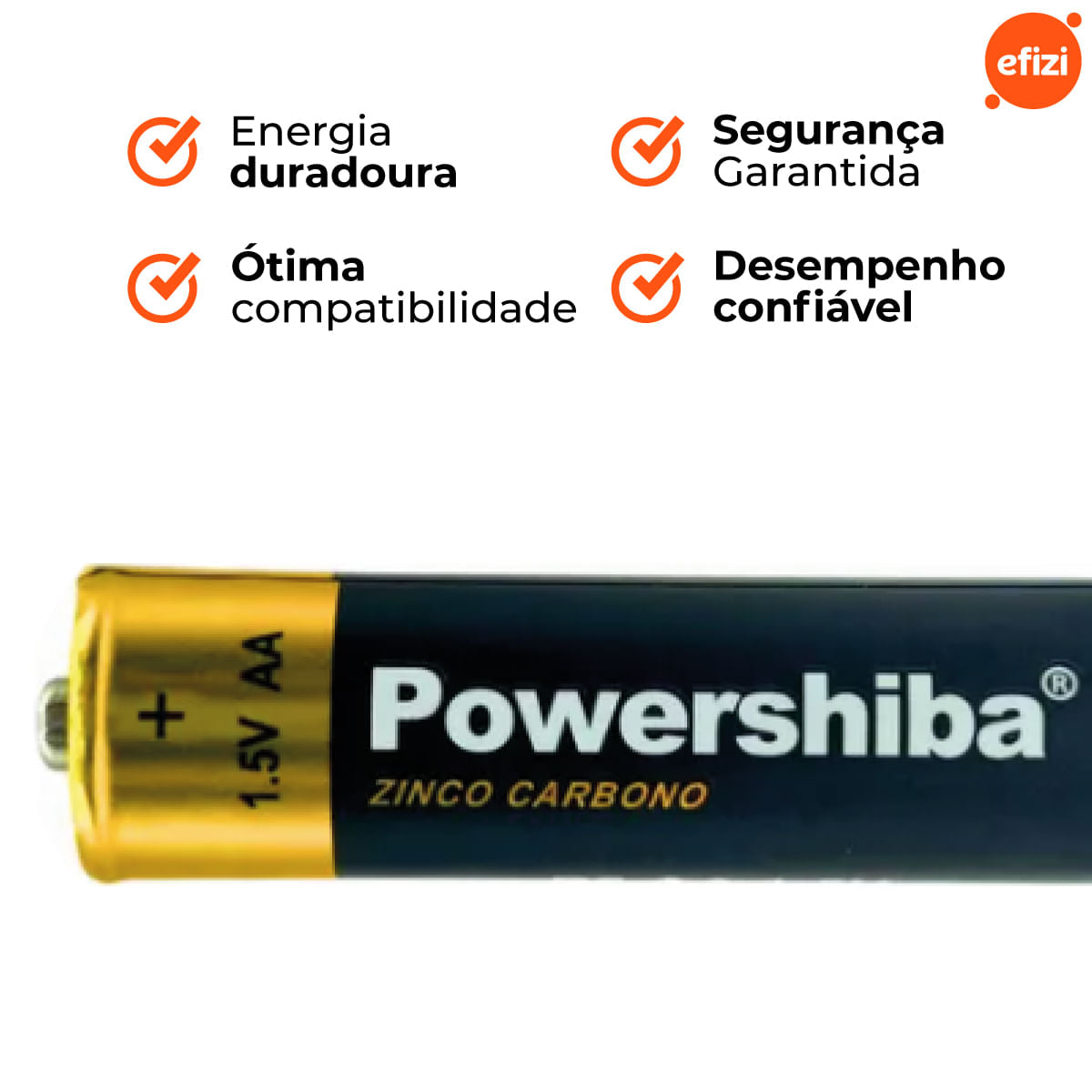 Pilha Zinco Carvão AA 8 unidades Powershiba