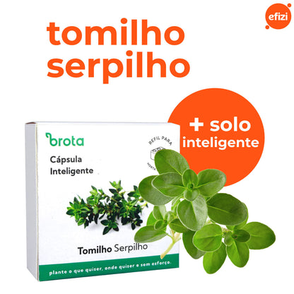 Capsula Tomilho para Horta Autoirrigavel Brota