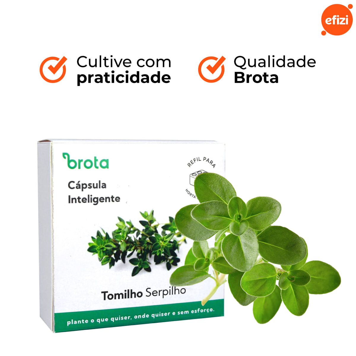 Capsula Tomilho para Horta Autoirrigavel Brota