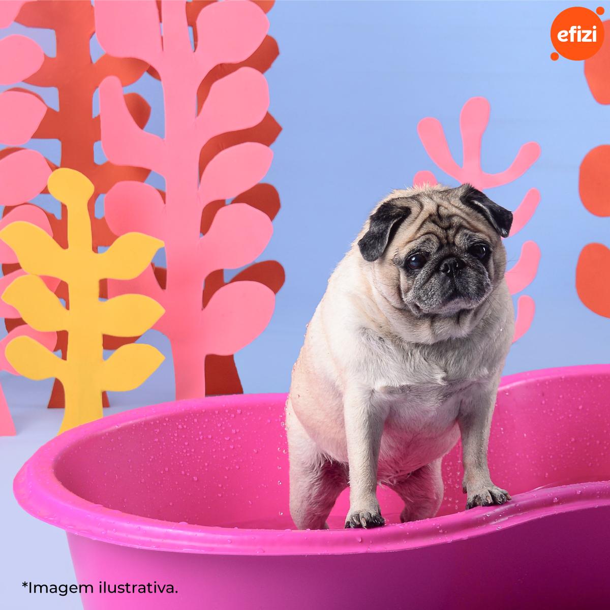 Caixa Piscina Feijão 100 Litros Rosa Afort